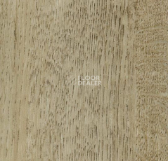 Кварцвиниловые полы Forbo Effekta Professional 0.45 4103 P Golden Harvest Oak PRO фото 1 | FLOORDEALER